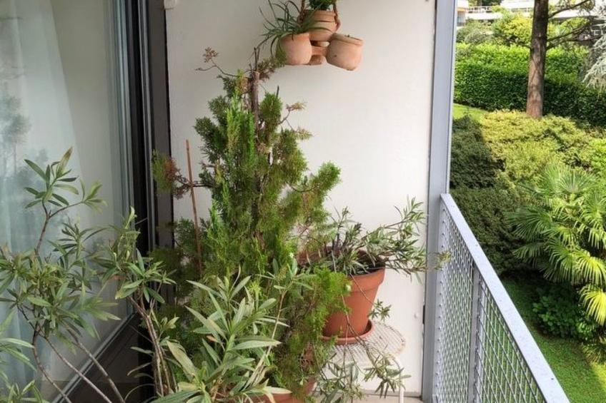 Freie Sicht auf See und Berge - foto 13