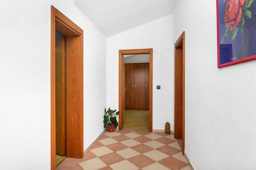 Rubin - foto 15