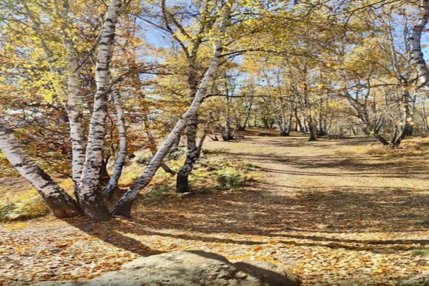 Lavinia's Apartment - foto 23