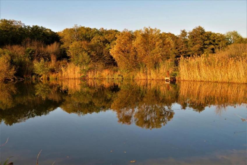 Li Vêrt Veschau - foto 33