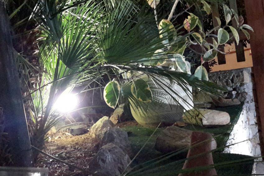 'Villa sul porto - foto 11