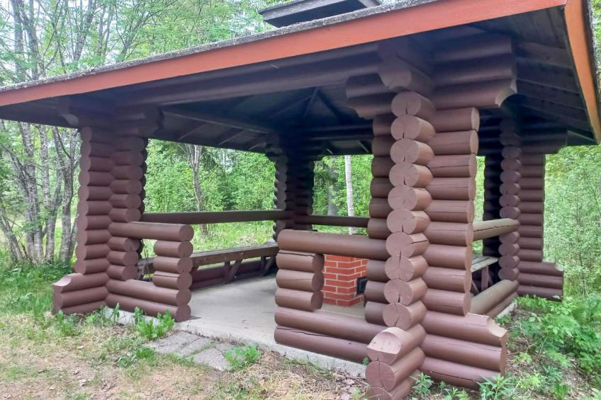 Ranta-koivu - foto 15