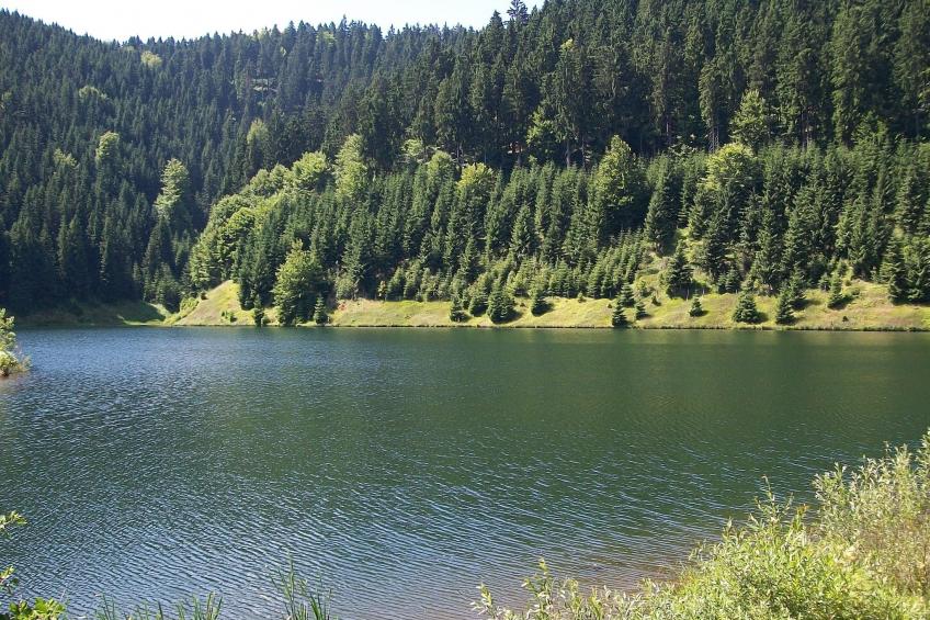 Goldisthal - foto 29