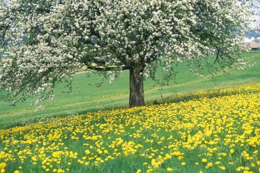 Vakantiepark Leukermeer 7 - foto 22