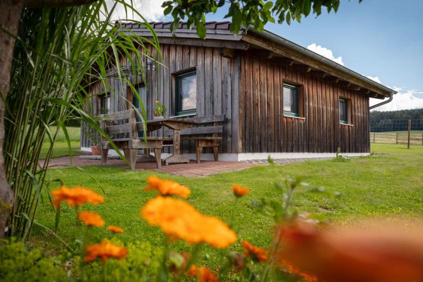 Zillendorf 2 - foto 11