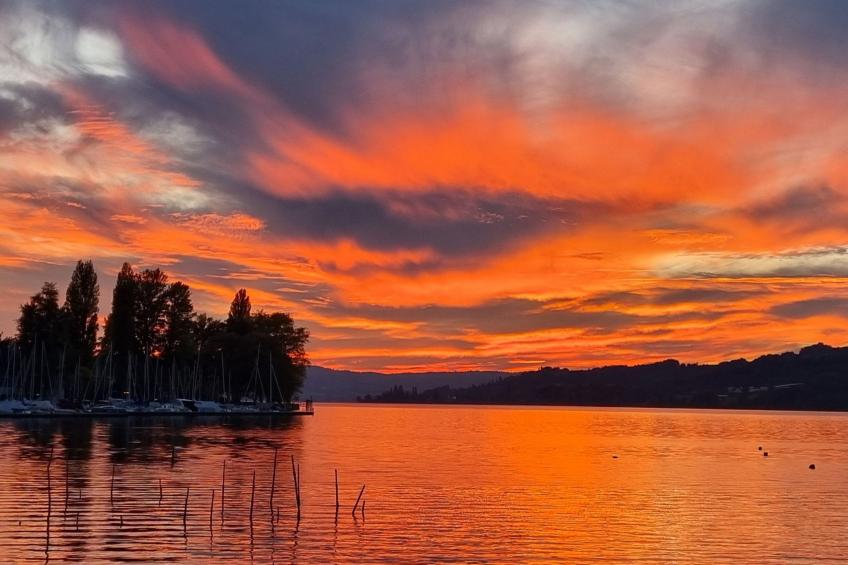 WohlfühlNest - foto 35