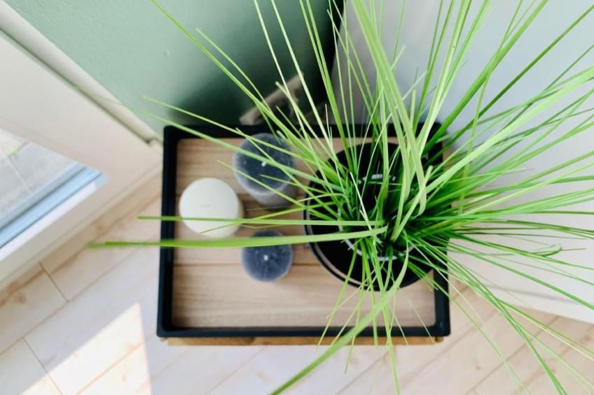 FeWo Oberwinter Bonn - foto 11