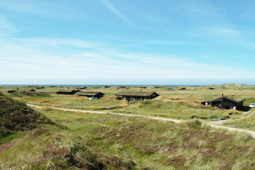 "Eri" - 300m from the sea in NW Jutland - foto 15