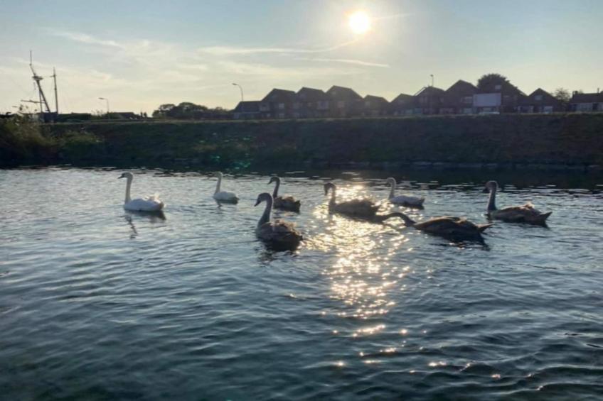 Resort Waterrijk Oesterdam 15 - foto 27