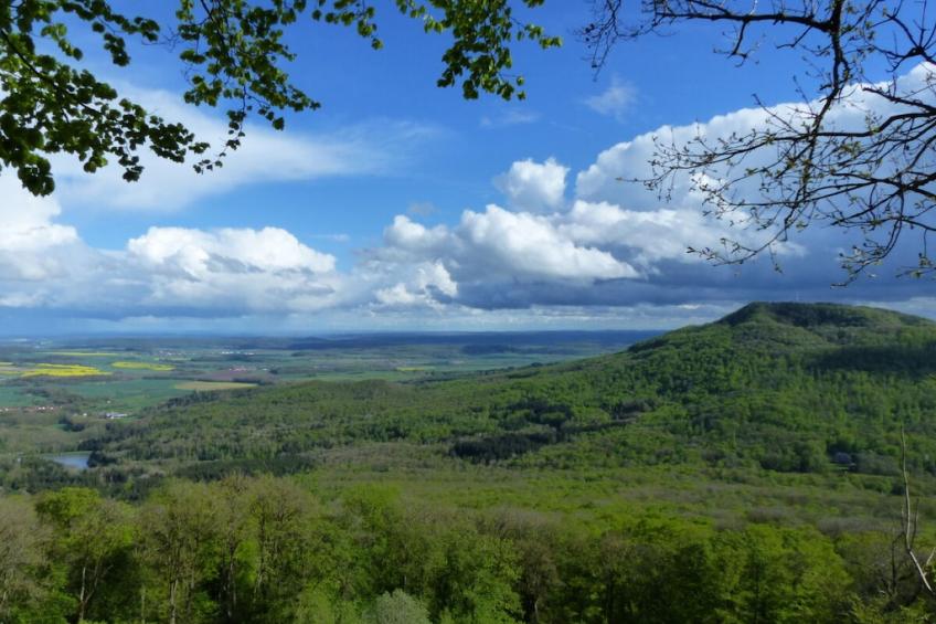 115148 - foto 24
