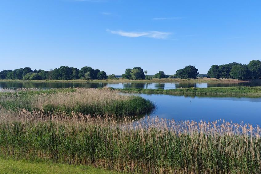 Studio Brennerei Haselberg - foto 17