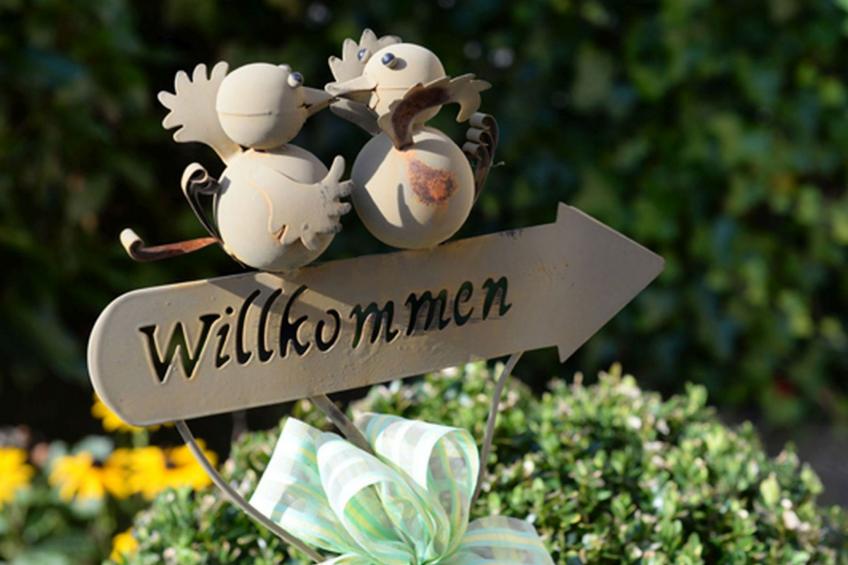 Elztalblick - foto 3