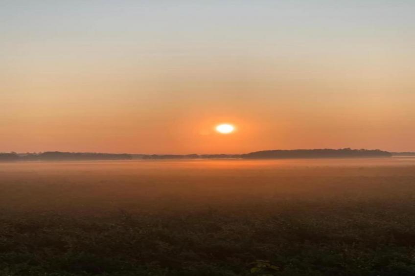 De Riek 4P - foto 11