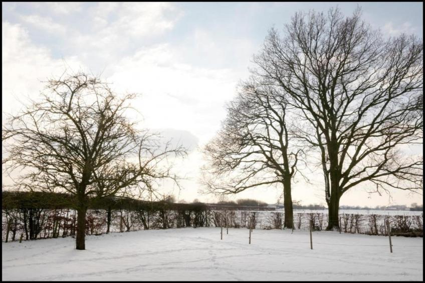 Sylvies lodge - foto 38