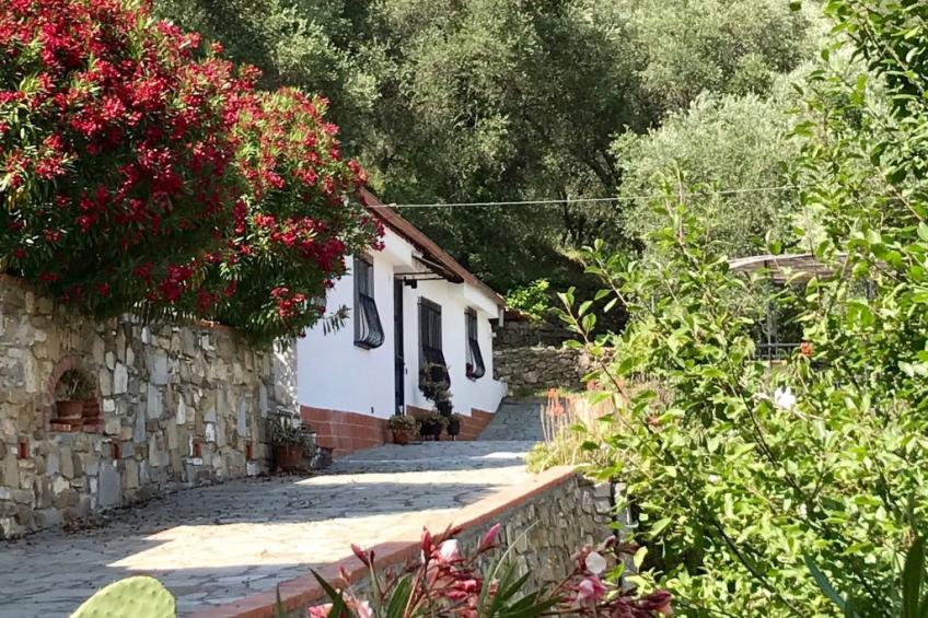 Casa Uliveto - foto 4