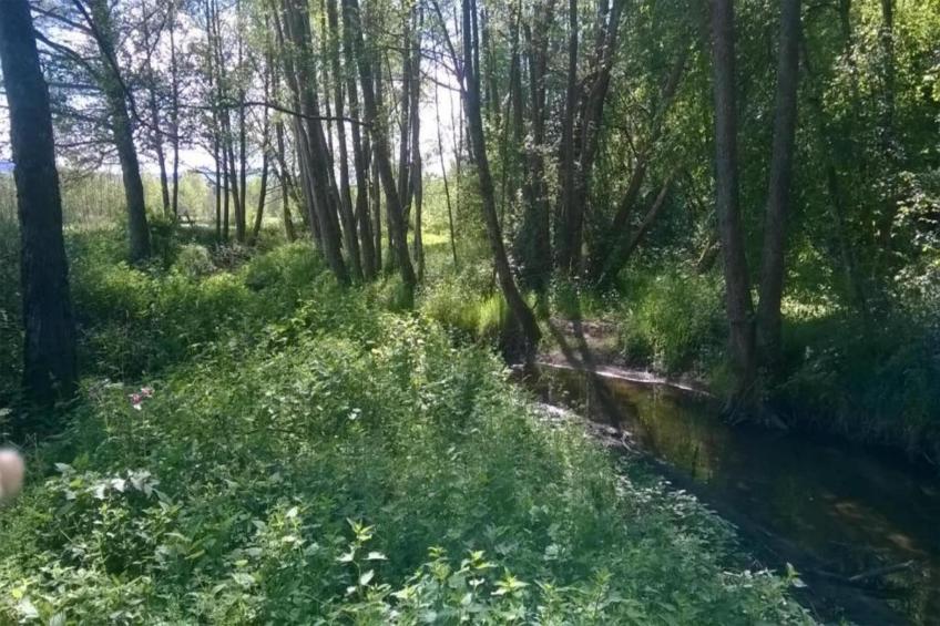 Domaine Des Messires 2 - foto 25