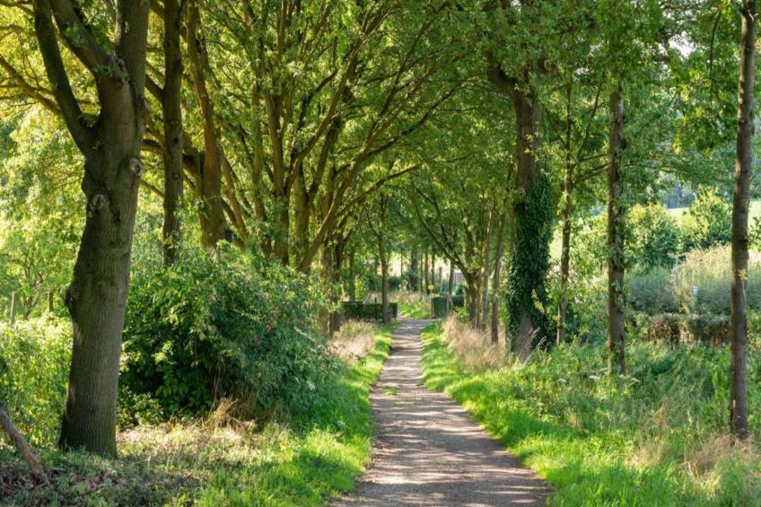 Bie Leentje op de Wei - foto 43