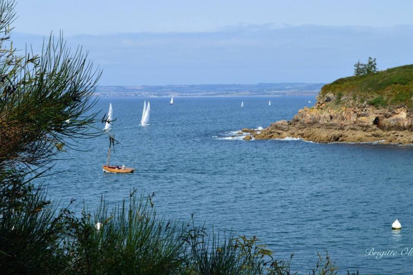 Ferienhaus - foto 42