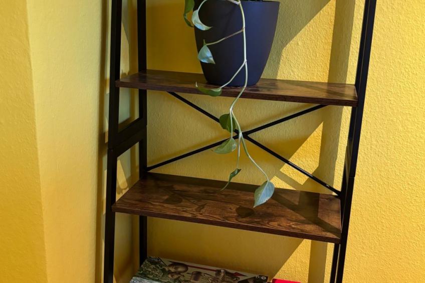 Hive-Homes - foto 10