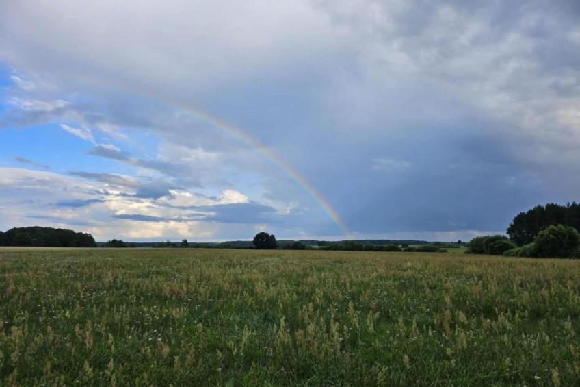 A large comfortable house Gajewo in Podlasie - foto 30