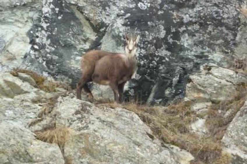 Chalet Le Murmure du Torrent - foto 35