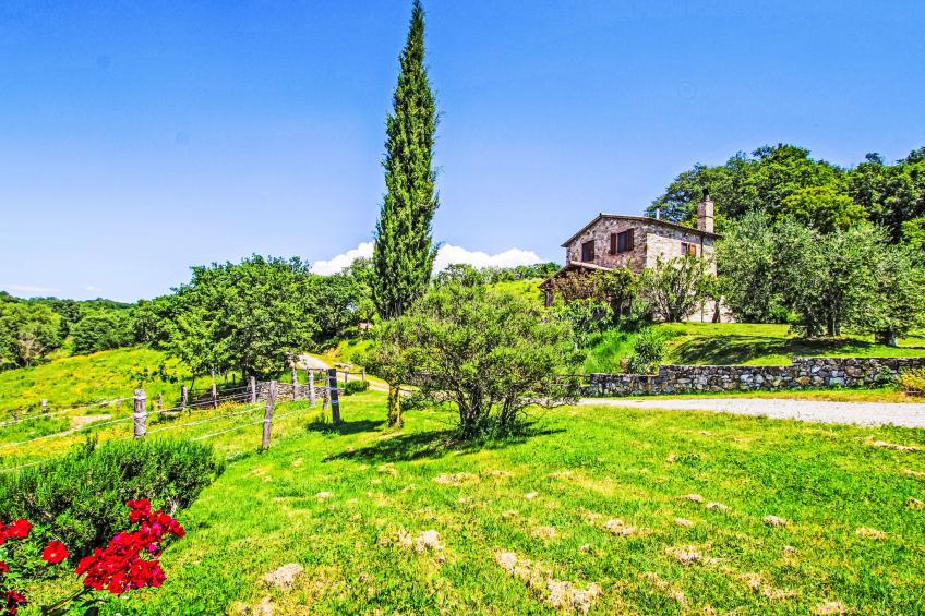 Casalini - foto 3