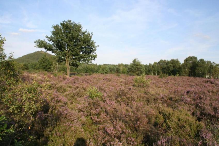 Het Bloesemklooster - foto 36