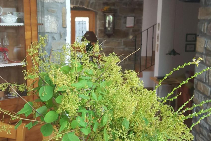 Istrisches Steinhaus - foto 8