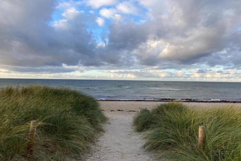 Ferienwohnung Albatross - strandnaher Urlaub Ostseebad Rerik - foto 19