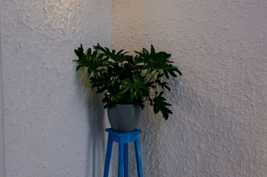 Villa Saline- Villa am Meer - foto 24