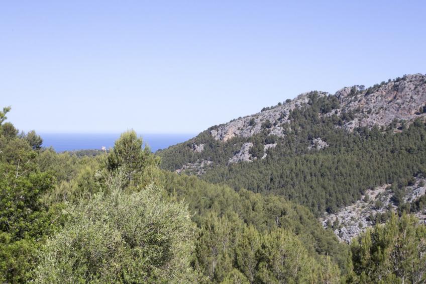 VILLA ES COCO SOLLER - foto 27