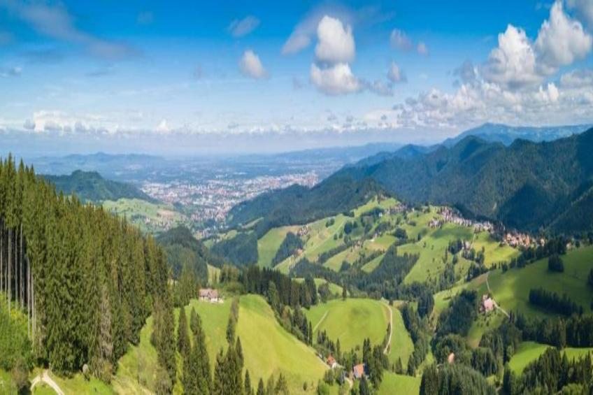 Gütenbach - foto 31