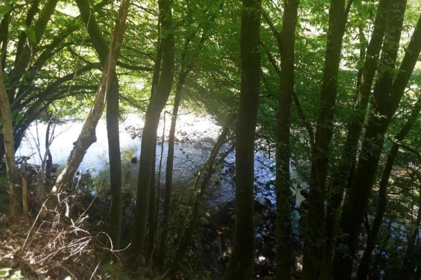 Bungalowpark Rien van den Broeke Village - foto 26