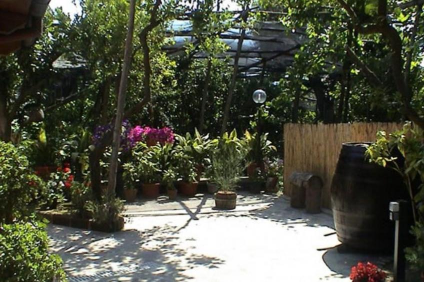 Rosa' Wohnung mit privatem Garten - foto 10