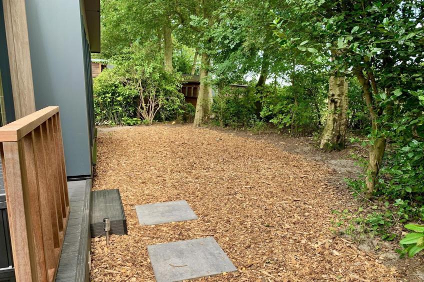 Campanula 136 - foto 15