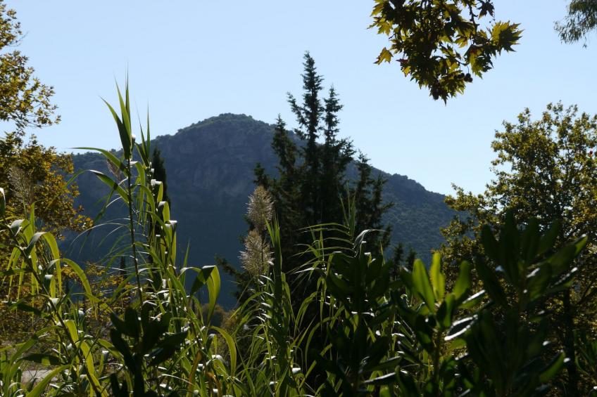 Spiti Louloudia - foto 31