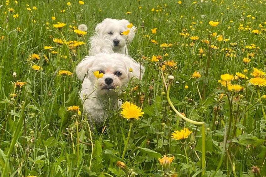 Schafmatthof 1 Obergeschoss - foto 25