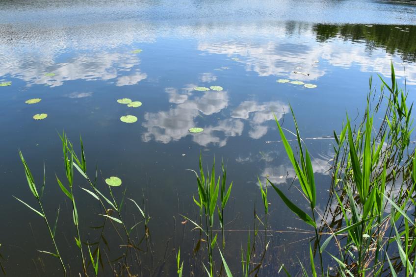 Ferienhäuser Inselblick / Ferienhaus 2 60 qm - foto 39