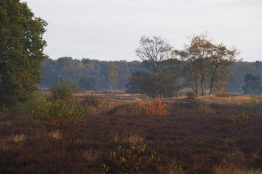 Vakantiepark De Pier - foto 36