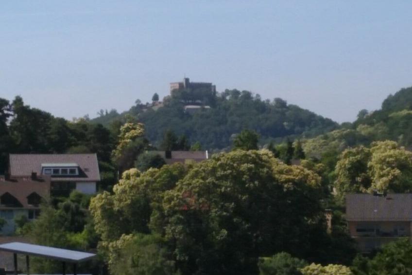 148511 - foto 15