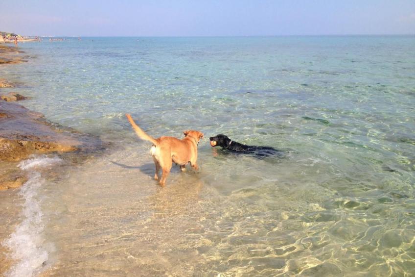 Villa Lona - foto 42