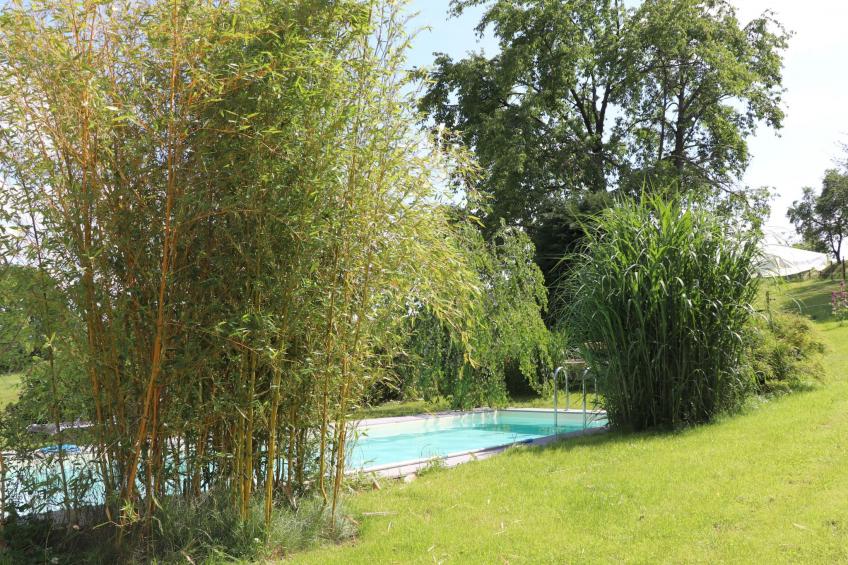 Wohnung mit Terrasse im sanierten Fachwerkhof - foto 13