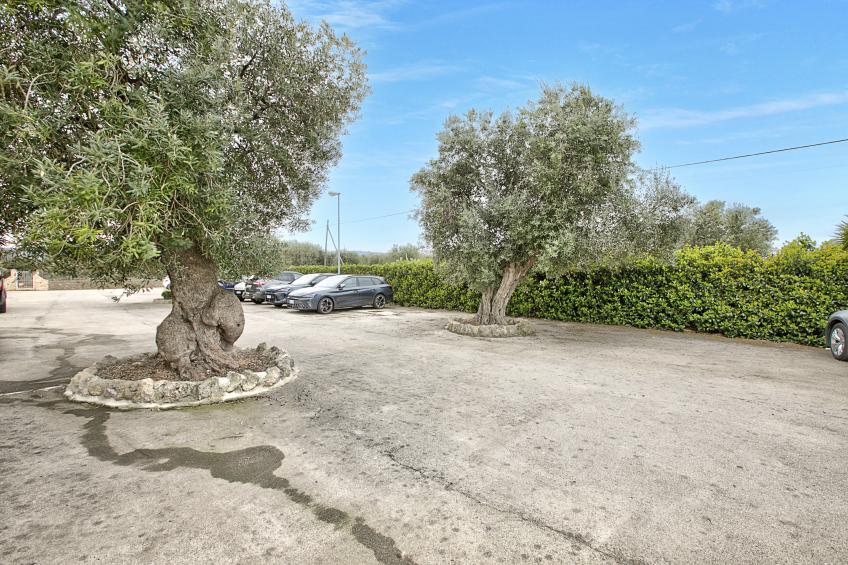 Sky View Apartment Monopoli - foto 31