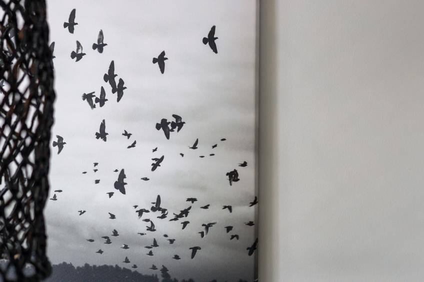 Marina Relax Suite Kortgene - foto 14