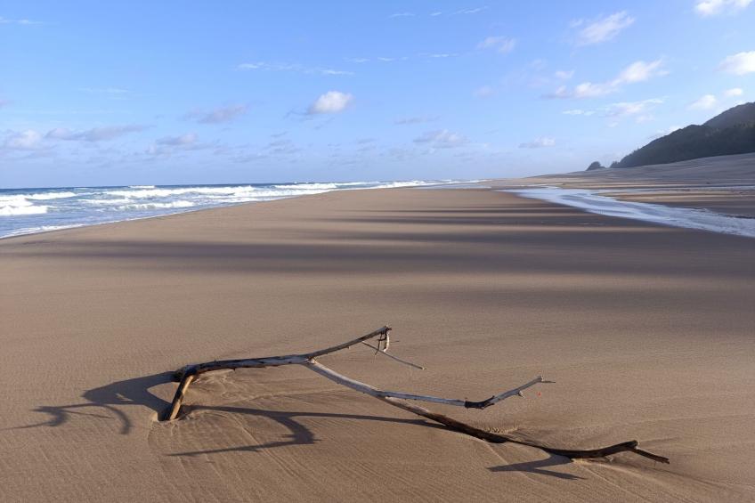 National Park View - foto 26