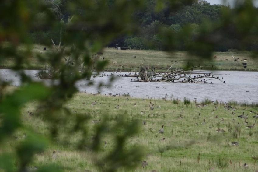 Urlaub am Meer im Ferienhaus mit Sauna - foto 34