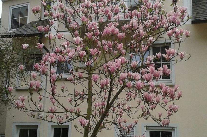 Schneemann - foto 23