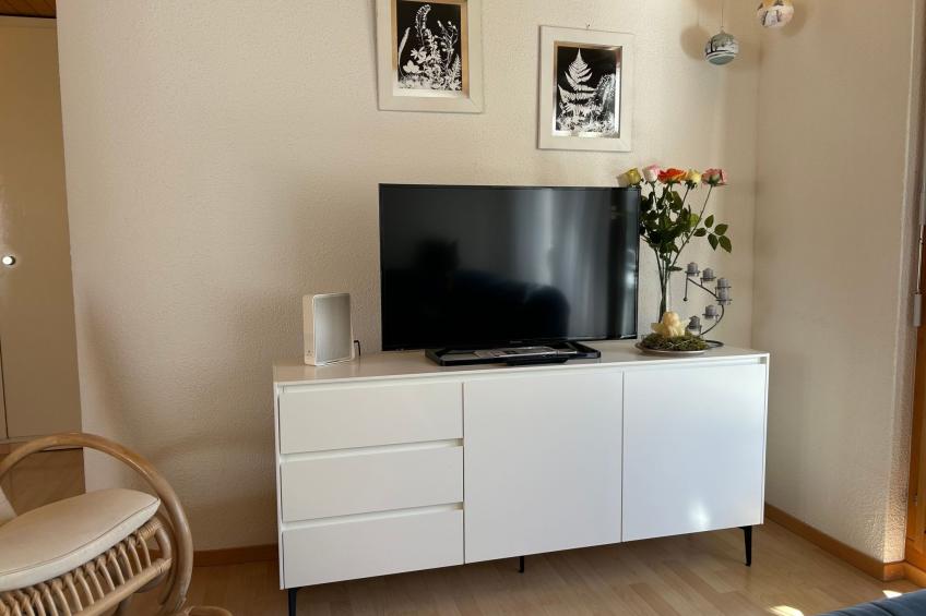 Wohnung Hirschi - foto 15