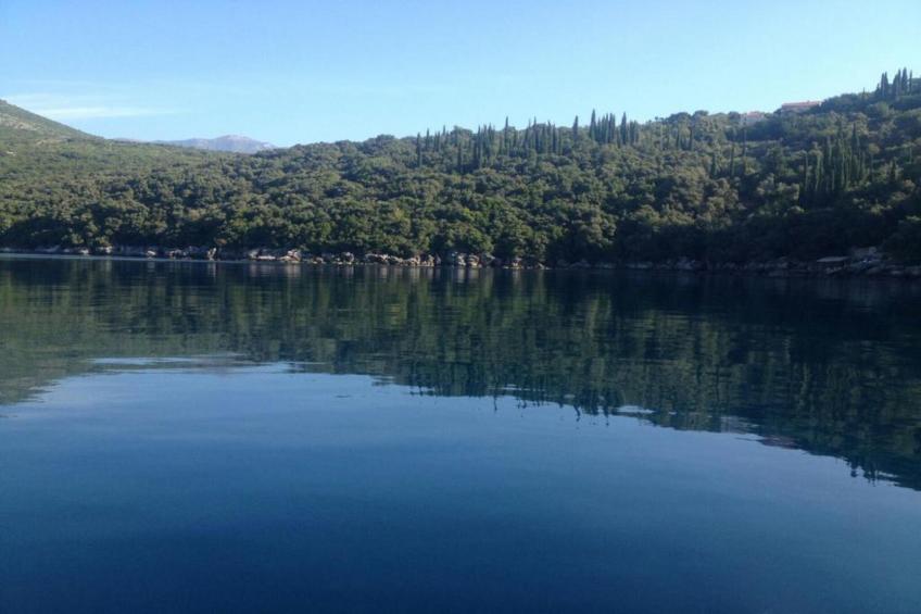 Guest House Rooms Rose - Romantic Double Room with Balcony and Sea View (No.1) - foto 31