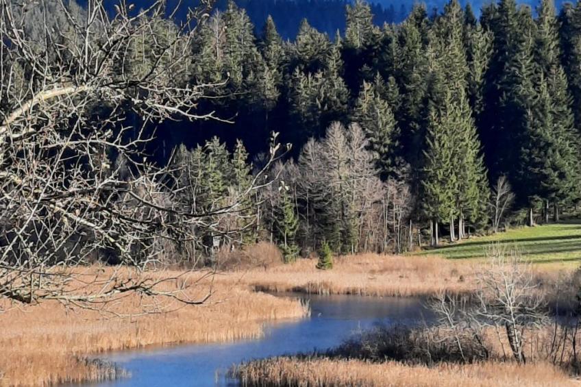 Apartment Daniel - foto 55